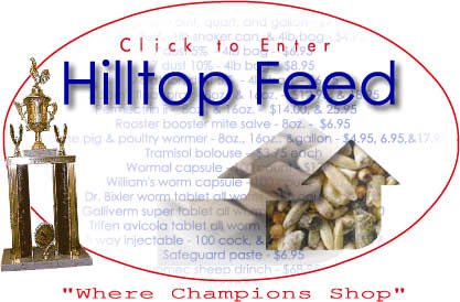 Hilltopfeed, Where Champions Shop!
